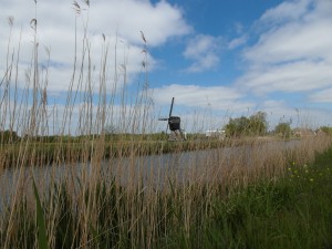 fietsen 19 