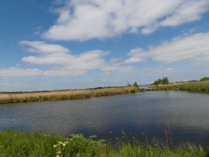 fietsen 16 