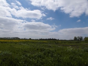 fietsen 15 