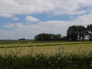 fietsen 6 