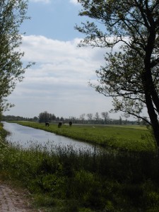 fietsen  