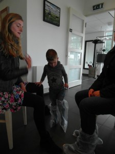 Bij de koeien Maria Lars   