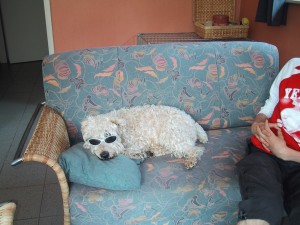 speurtocht 2003 032